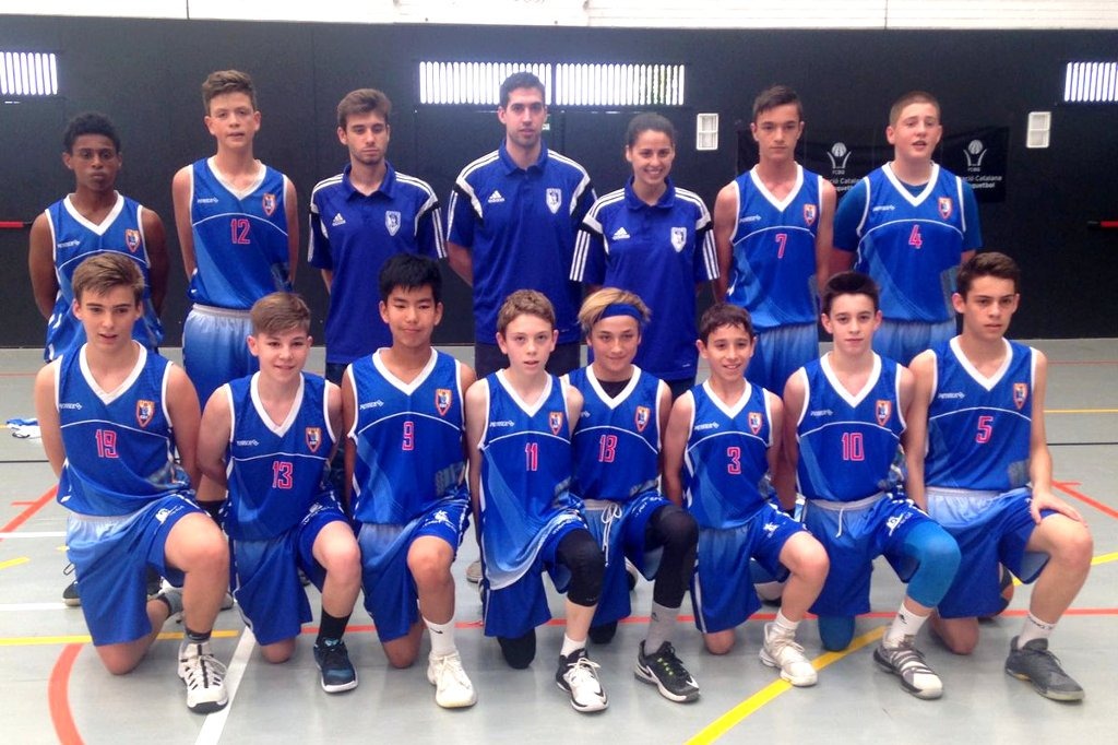 L’IMA JA PREPARA LES FASES